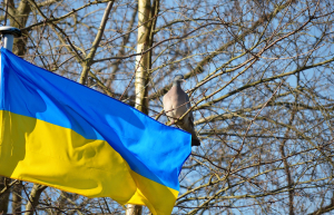 Straty wojenne Ukrainy