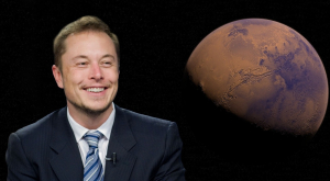 Elon Musk już zbiera żniwa swojej inwestycji w kampanię Donalda Trumpa